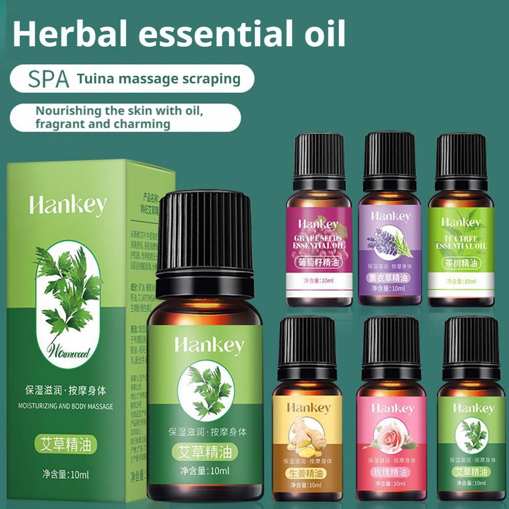 Body Oil - น้ำมันนวดตัว 10 มล. สารสกัดจากเมล็ดองุ่น, โกฐจุฬาลัมพา, ลาเวนเดอร์,